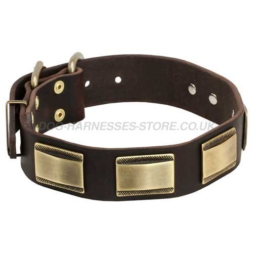 Plaited Leather Dog Collars