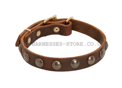 Narrow Leather Dog Collars