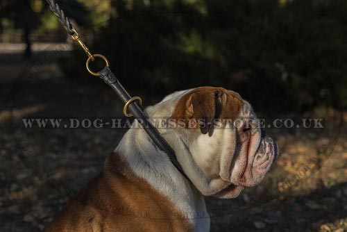 British Bulldog Collar UK