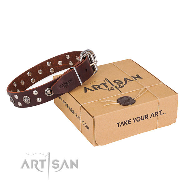 Brown Leather Collars for Dogs