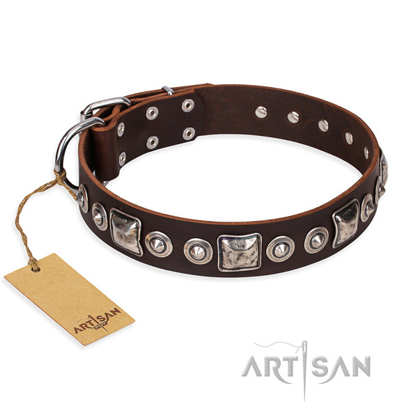 Brown Leather Dog Collar