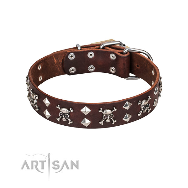 Brown Leather Dog Collar