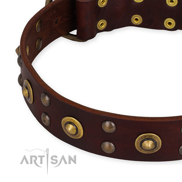 Brown Leather Dog Collar