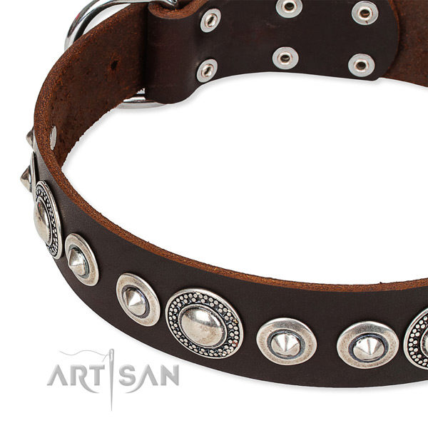 Brown Leather Dog Collar