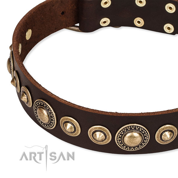 Brown Leather Dog Collar UK