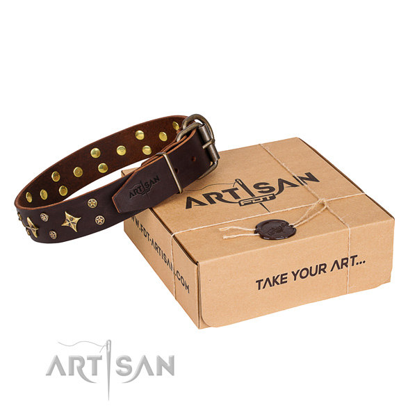 Brown Leather Dog Collar UK