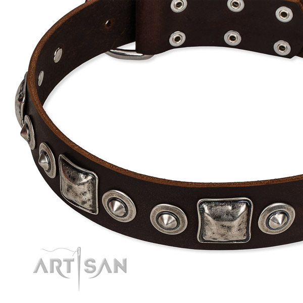 Brown Leather Dog Collar UK