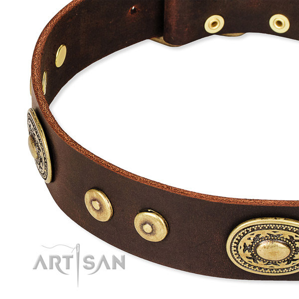 Brown Leather Dog Collar UK