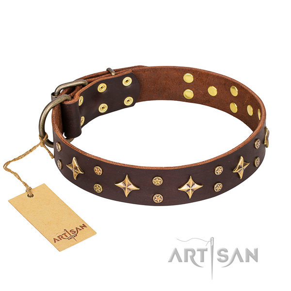 Brown Leather Dog Collar