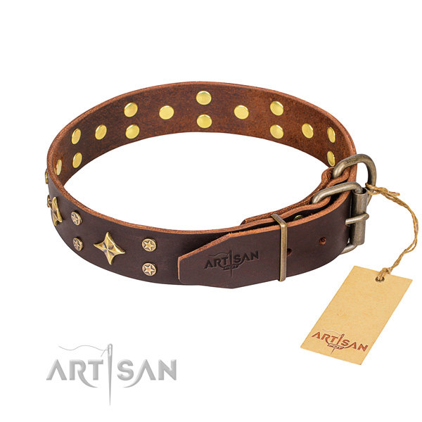 Brown Leather Dog Collar with Studs