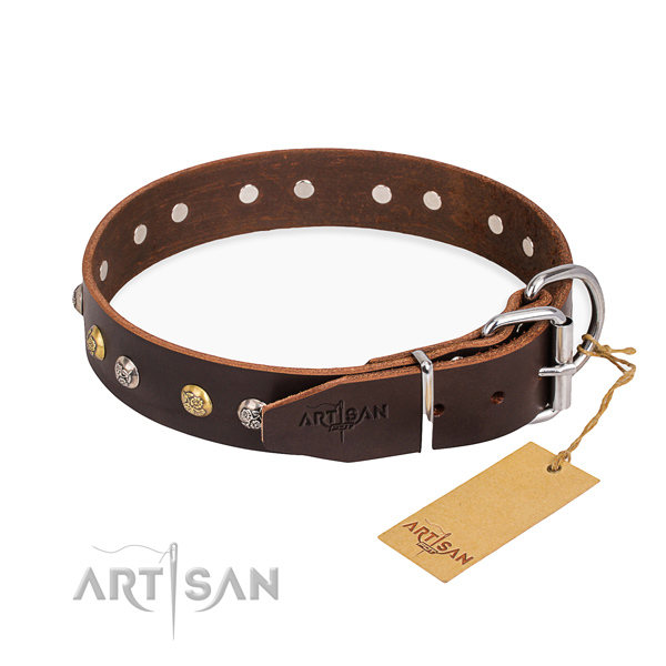 Brown Leather Dog Collar with Studs