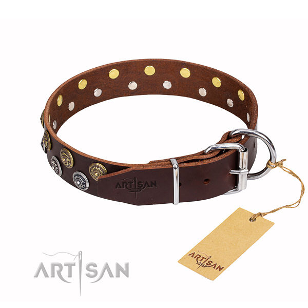 Brown Leather Dog Collar with Studs