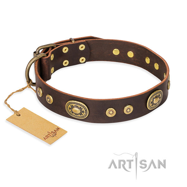 Brown Leather Dog Collar