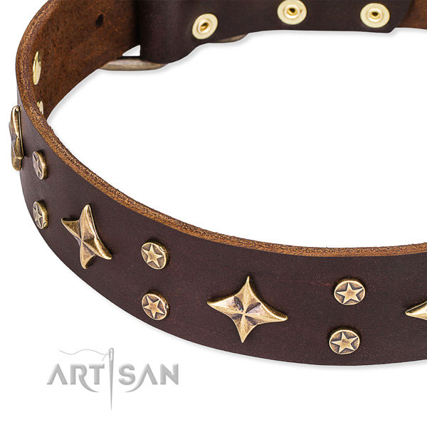 Tan Leather Dog Collars UK