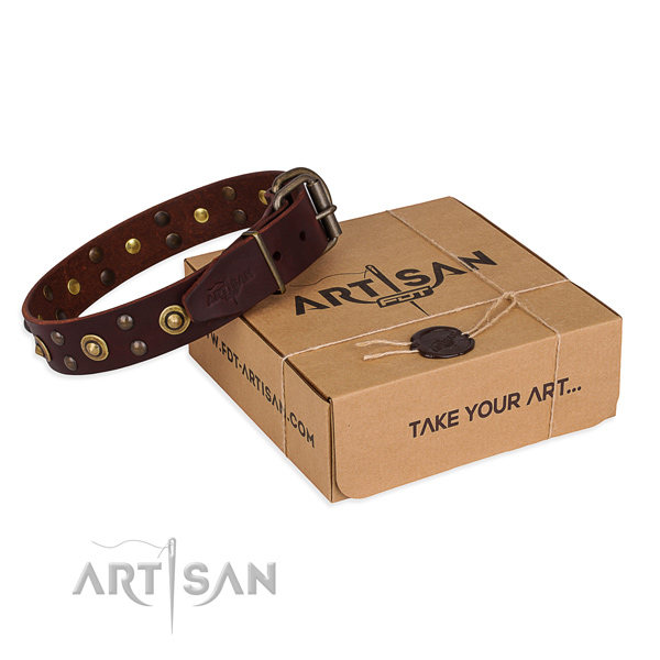 Brown Leather Dog Collars UK