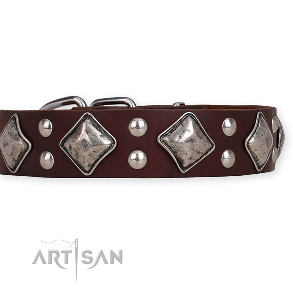 Brown Leather Dog Collars UK