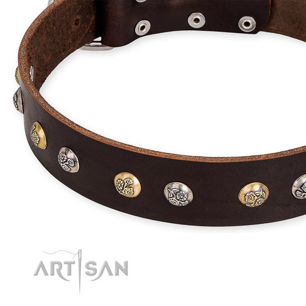 Brown Leather Dog Collars UK