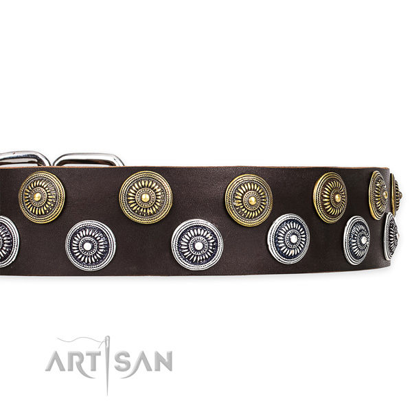 Brown Leather Dog Collars UK