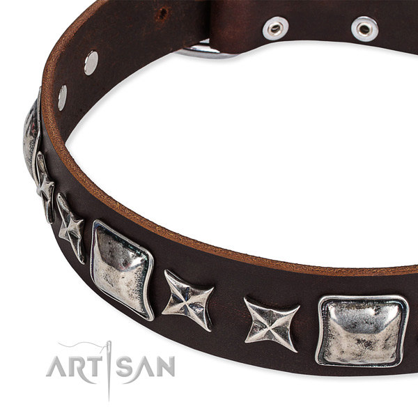 Brown Leather Dog Collars UK