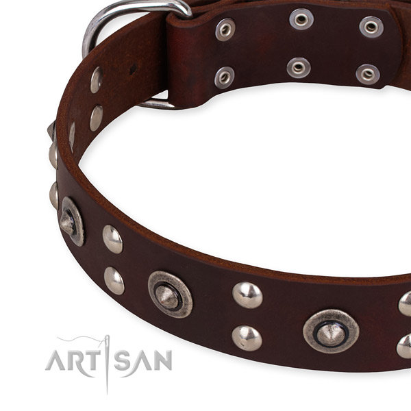 Brown Leather Dog Collars UK