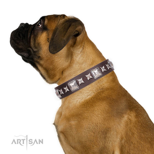 Bullmastiff Collars UK