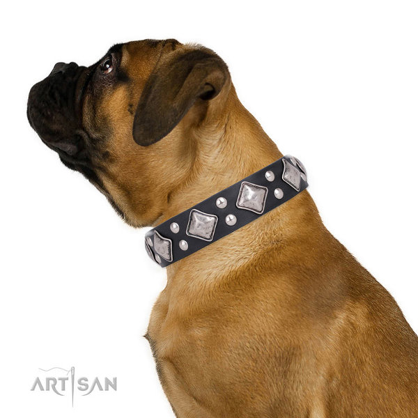 Bullmastiff Dog Collars UK