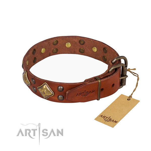 Buy Dog Collars Online UK