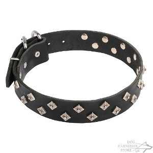 Canine Couture Dog Collars UK