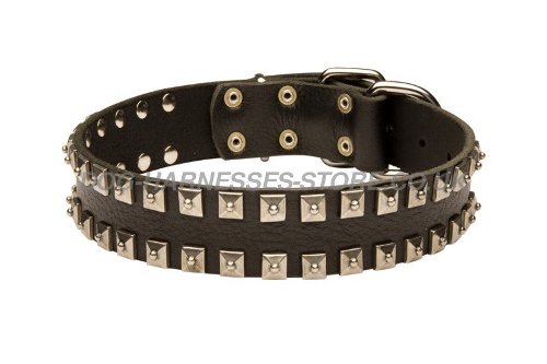 Studded Dog Collar UK