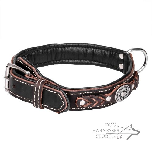 Chic Dog Collar