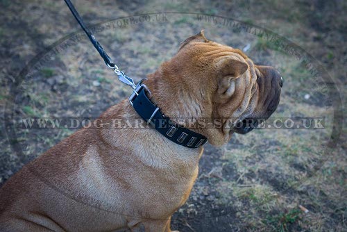 Shar-Pei Dog Collars