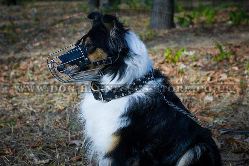 Wire Basket Dog Muzzle UK