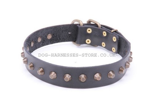 Leather Studded Dog Collar