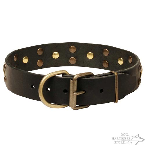 Cool Modern Dog Collars