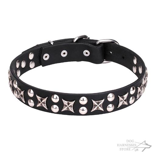 Cosmic Dog Collar UK