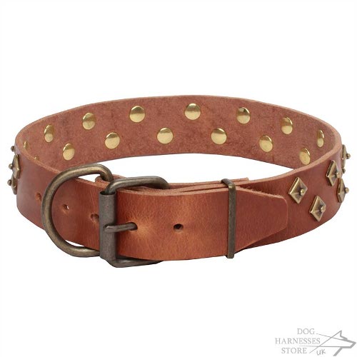 Haute Couture Dog Collars