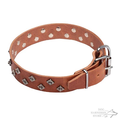 Couture Dog Collars UK