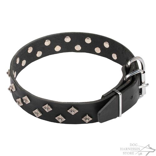 Couture Dog Collars