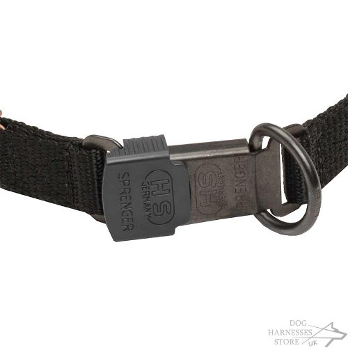 Curogan Dog Collar