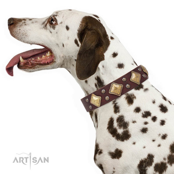 Dalmatian Dog Collar