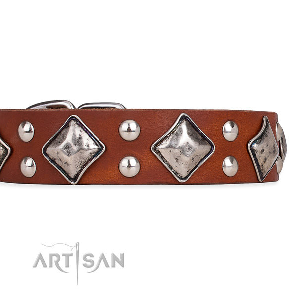 Decorated Dog Collars