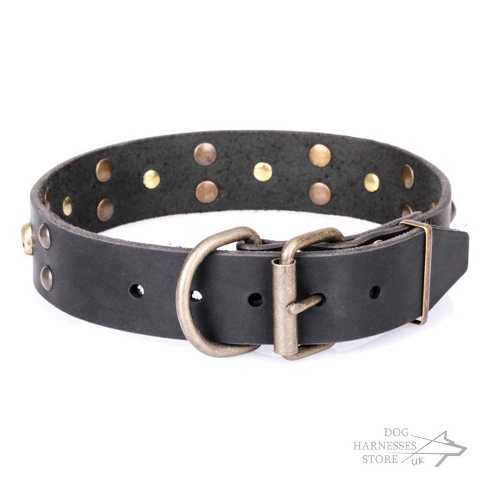 Decorated Leather Dog Collars