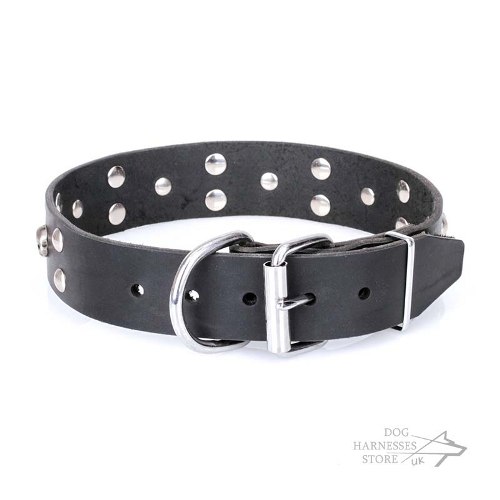 Decorated Leather Dog Collars