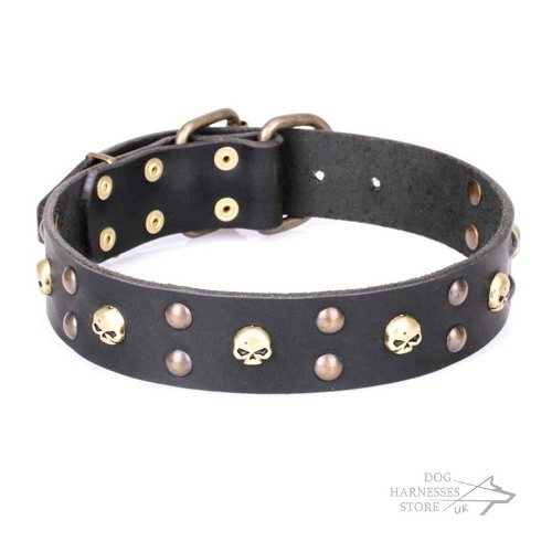 Decorated Leather Dog Collar