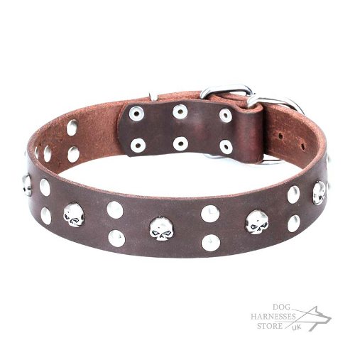 Decorative Dog Collar UK