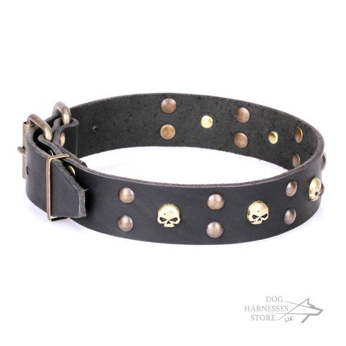 Decorative Dog Collar UK