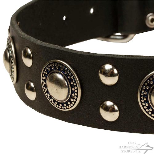 Decorative Dog Collars UK