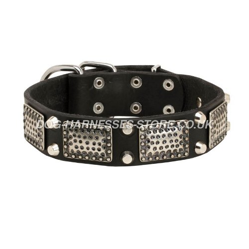 Luxury Dog Collar