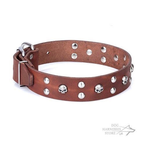 Decorative Leather Dog Collars