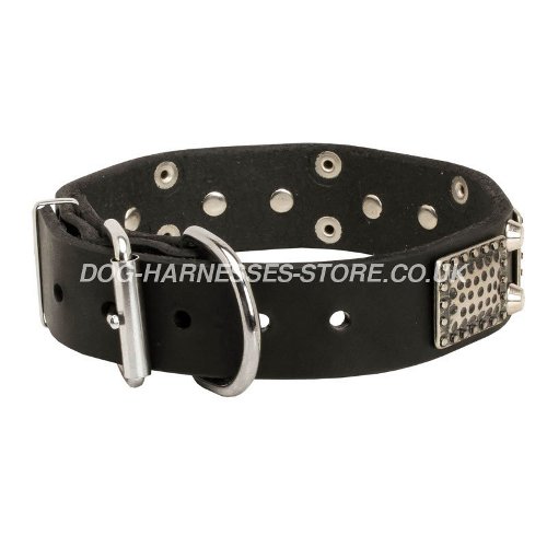 Decorative Leather Dog Collars